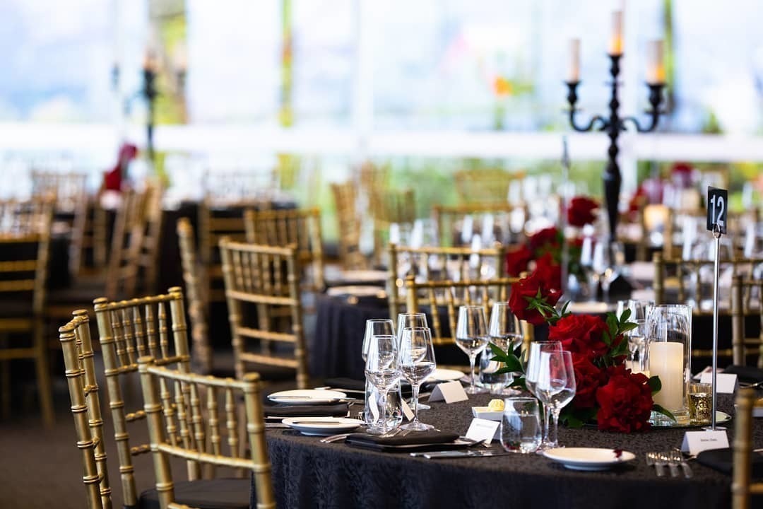 Taronga Zoo Weddings