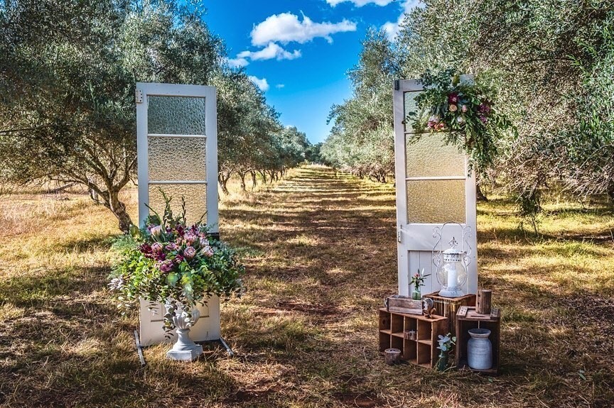 Bunnyconnellen Olive Grove and Vineyard