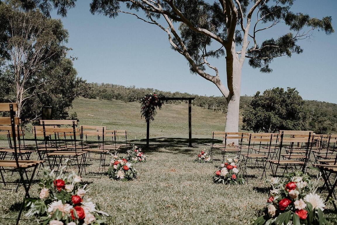 Bunnyconnellen Olive Grove and Vineyard