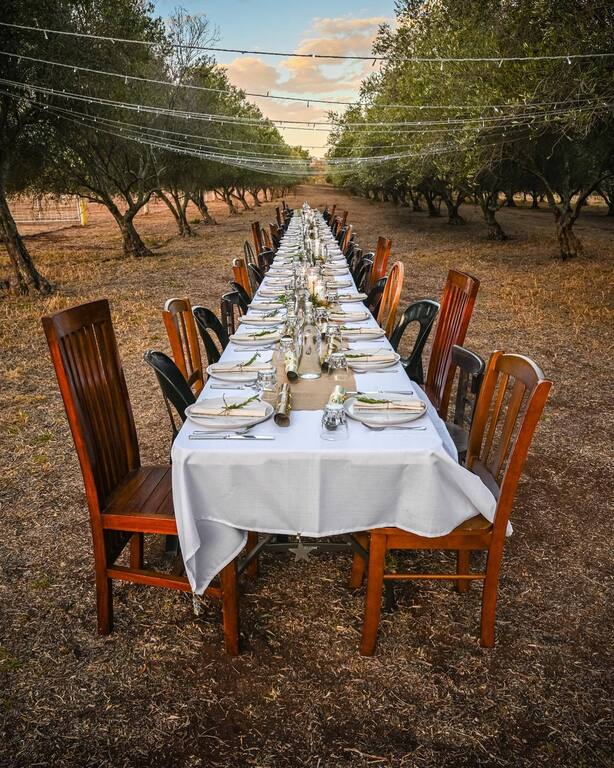 Bunnyconnellen Olive Grove and Vineyard