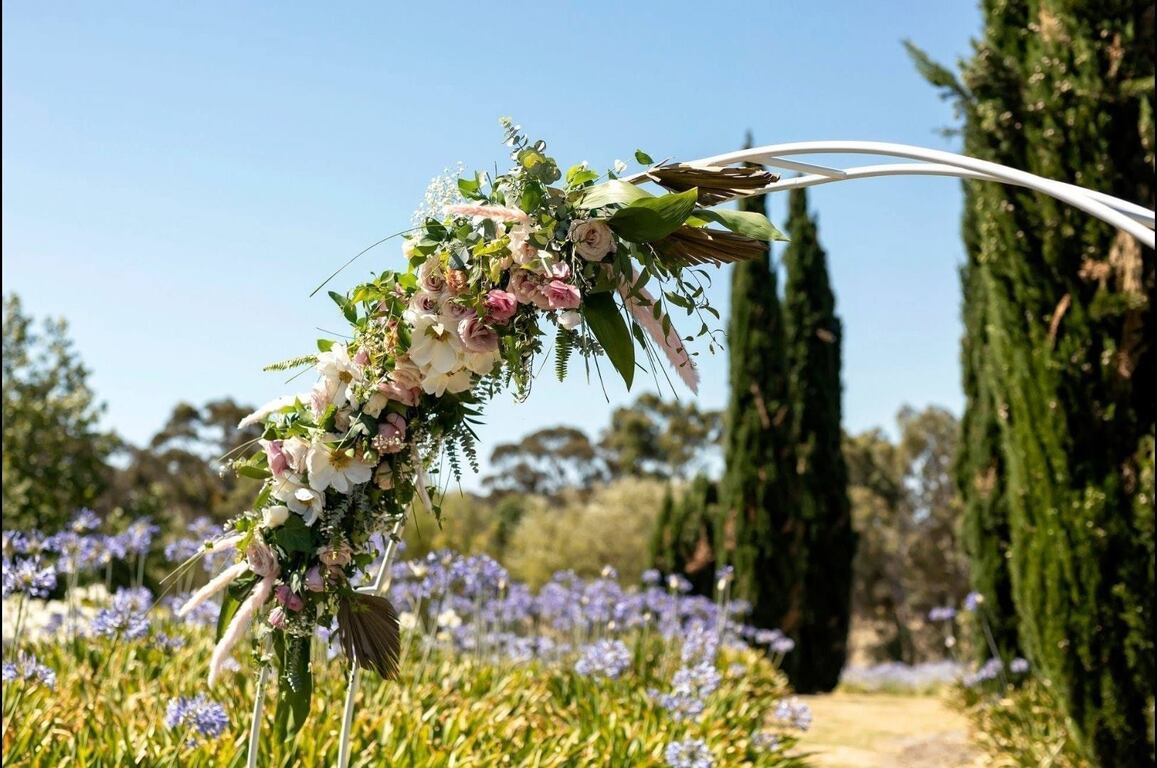 Littlewood Agapanthus Farm