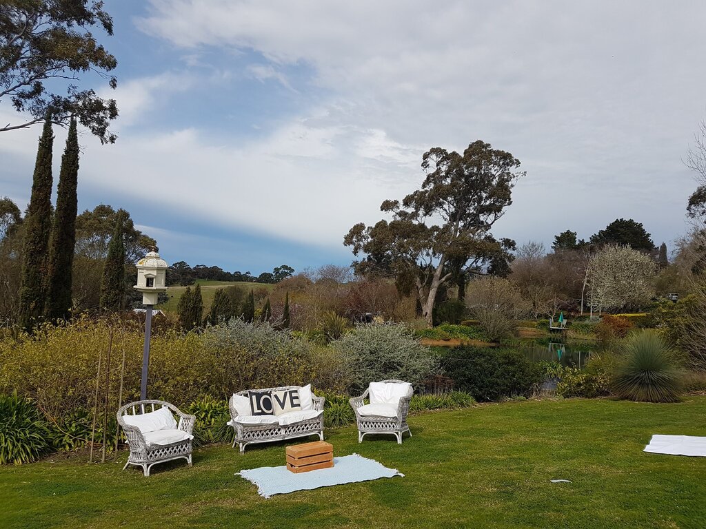 Littlewood Agapanthus Farm