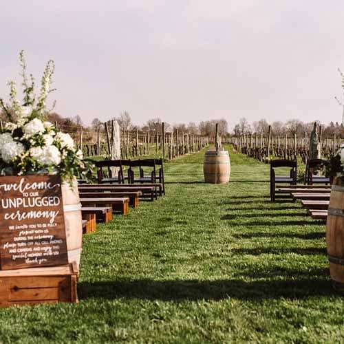Vines of the Yarra Valley