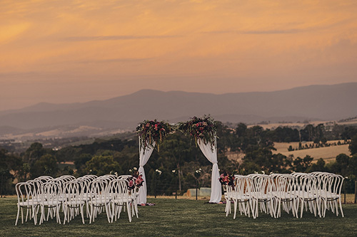 Vines of the Yarra Valley
