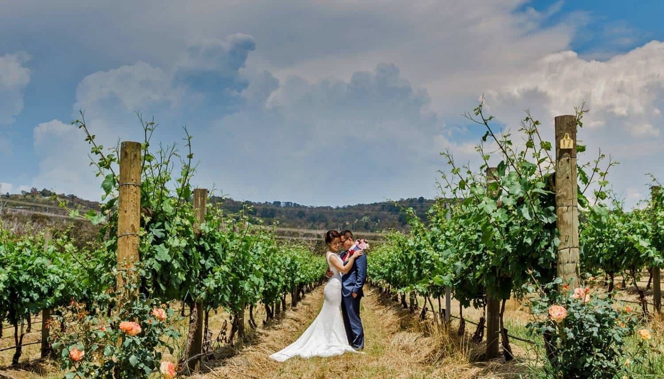 Vines of the Yarra Valley