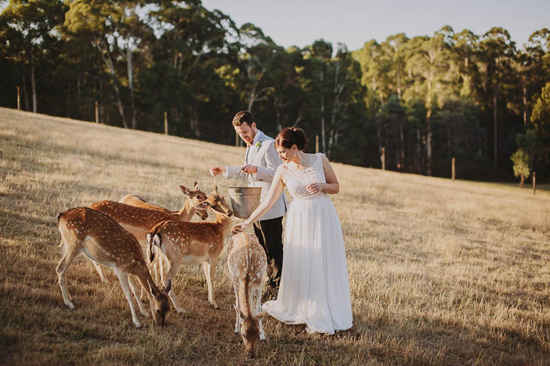 Gum Gully Farm