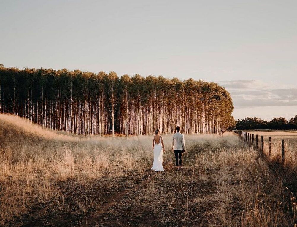 The Brown Brothers Winery