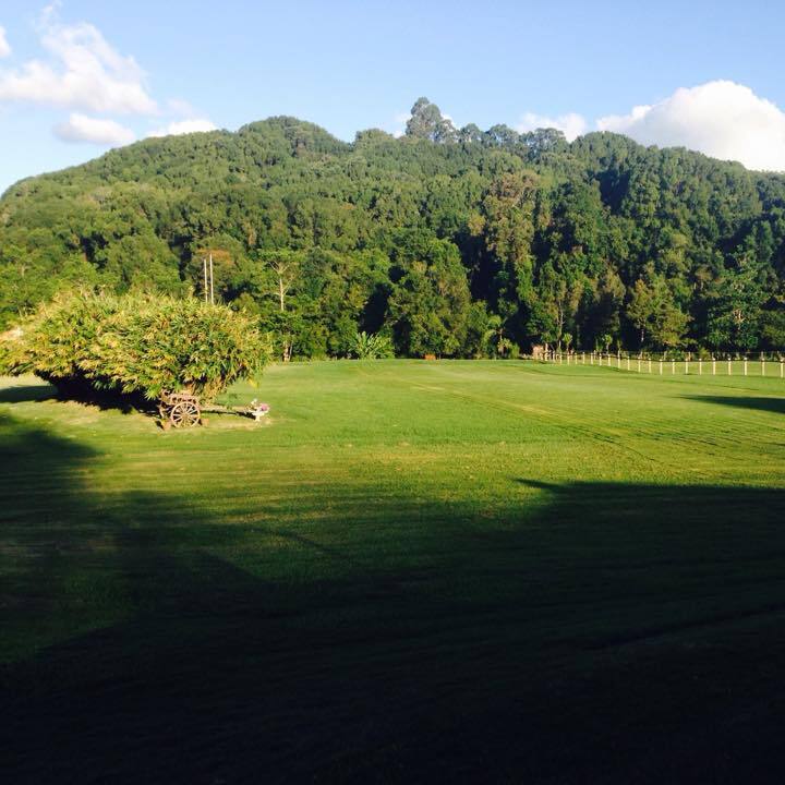 Baileys on Fernleigh