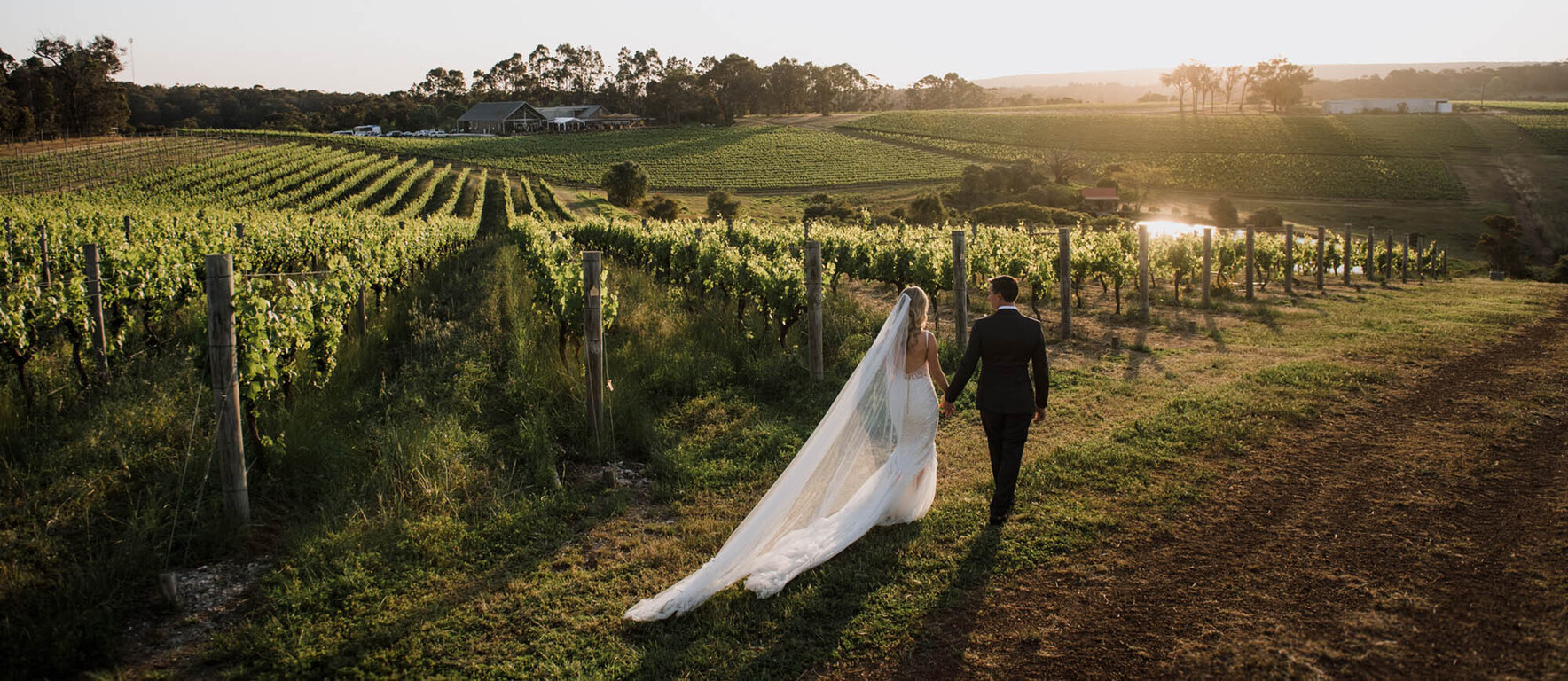 Wills Domain Winery