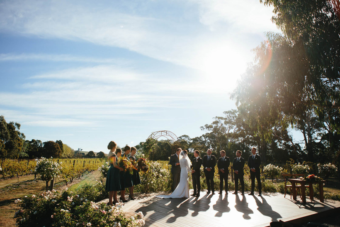 Alli Campbell Photography