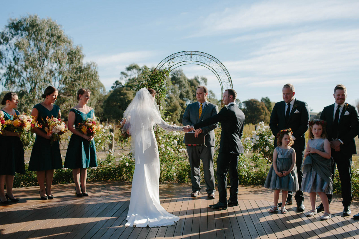 Alli Campbell Photography