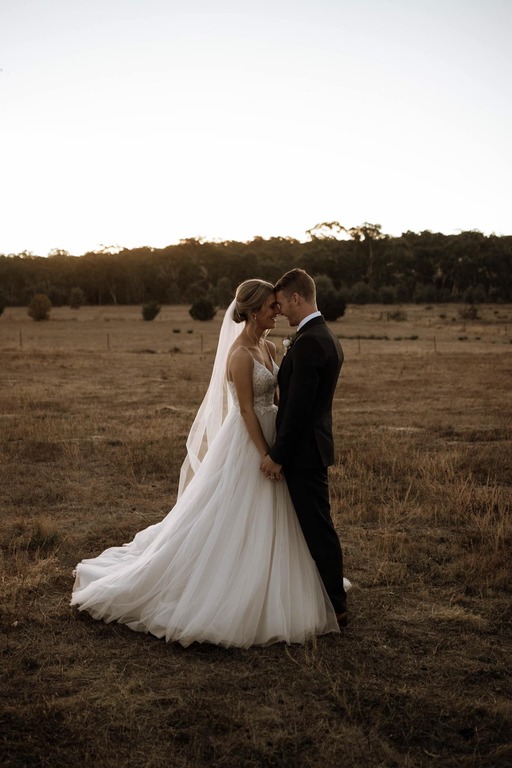 In the Vines Creative