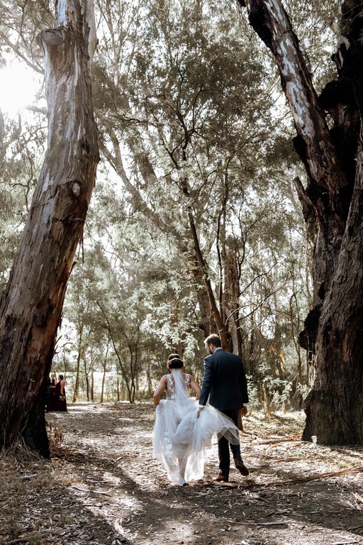 In the Vines Creative