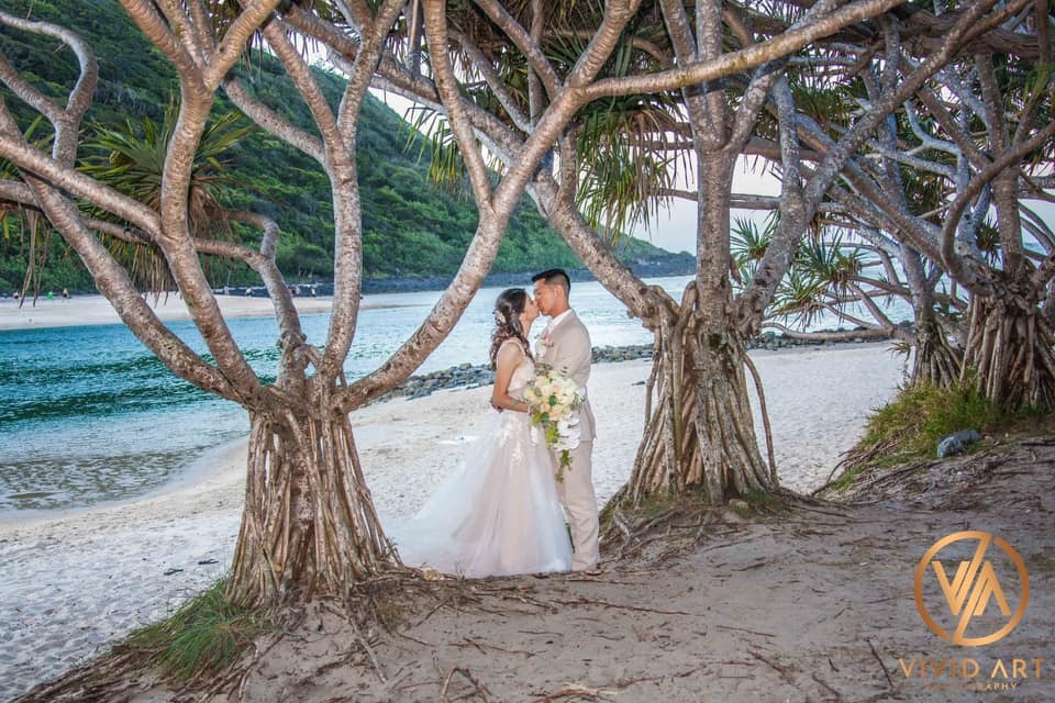 Vivid Art Photography