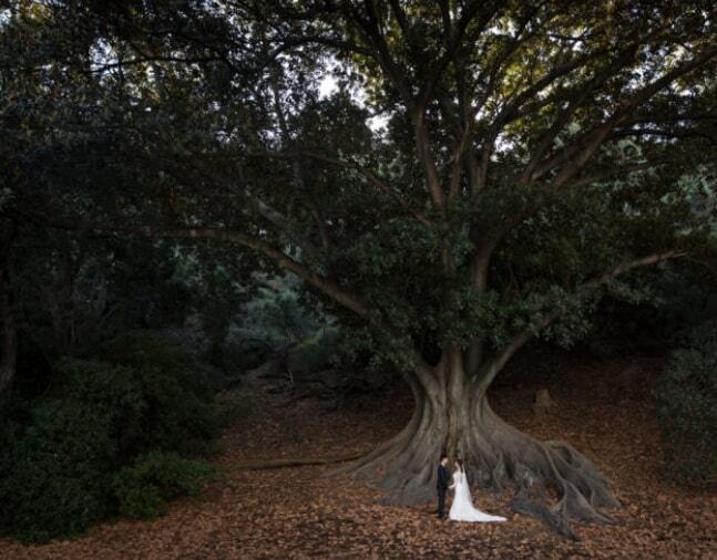 Geoffrey Liau Photography