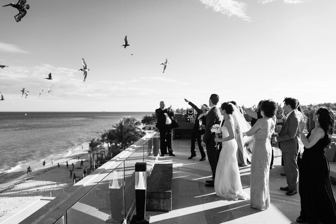 Viva Photography