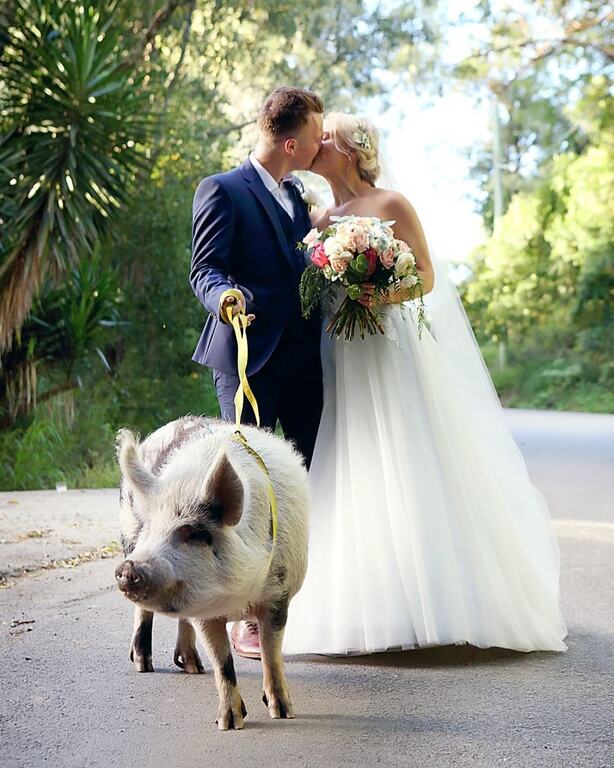 Angie Branch Photography