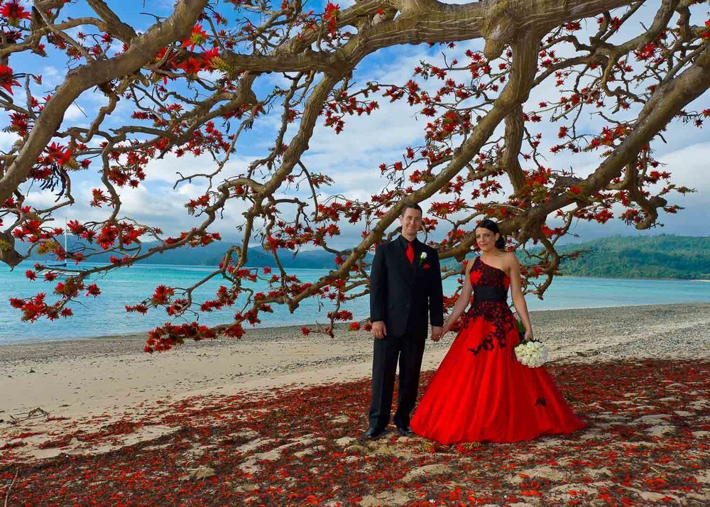 imagism Photography By Paul Cincotta