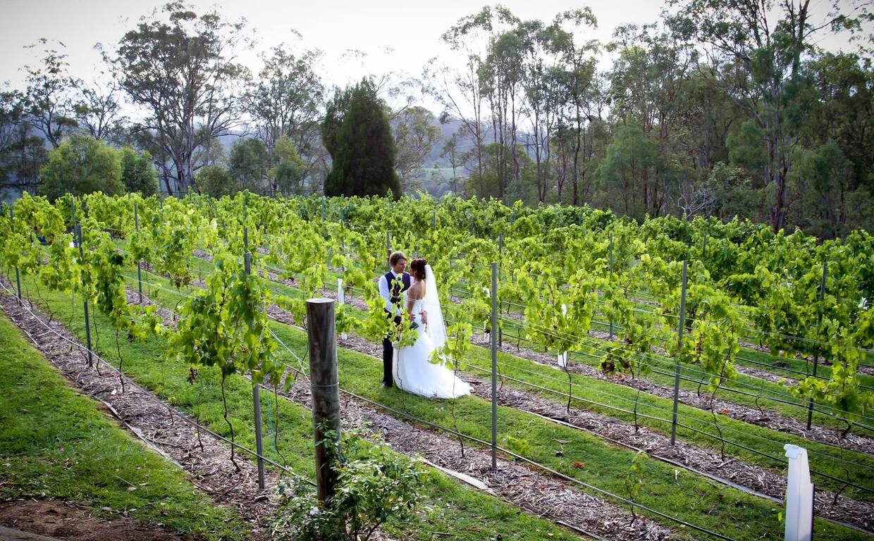 Clear Mountain Lodge Spa & Vineyard