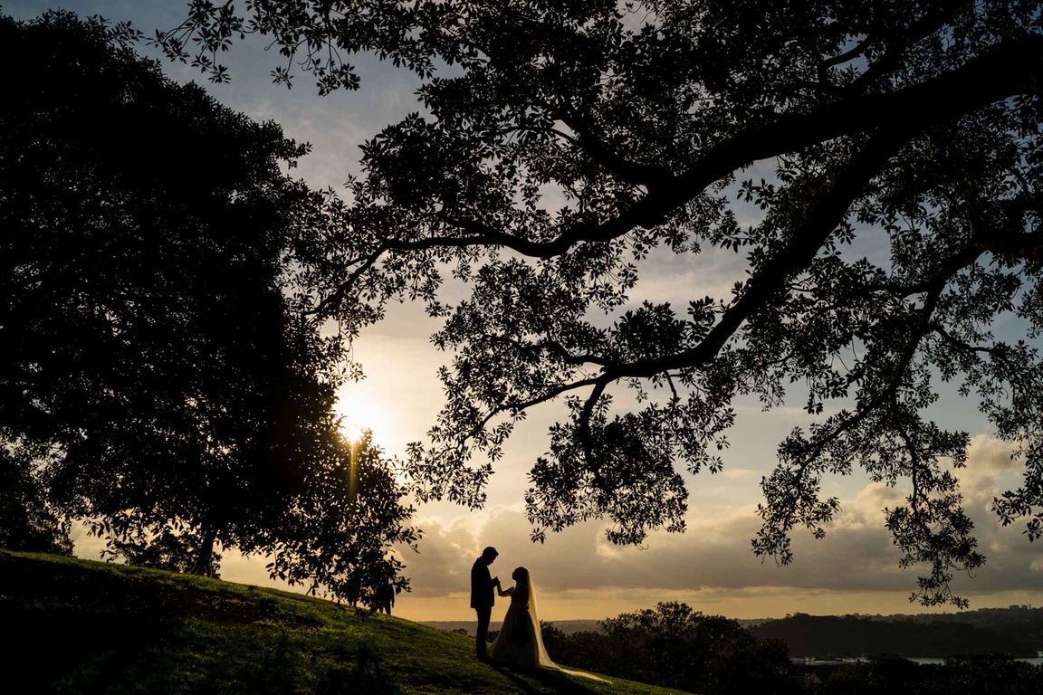 Sam Wyper Photography