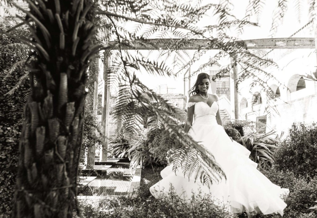 Xtraordinary Photos and Video