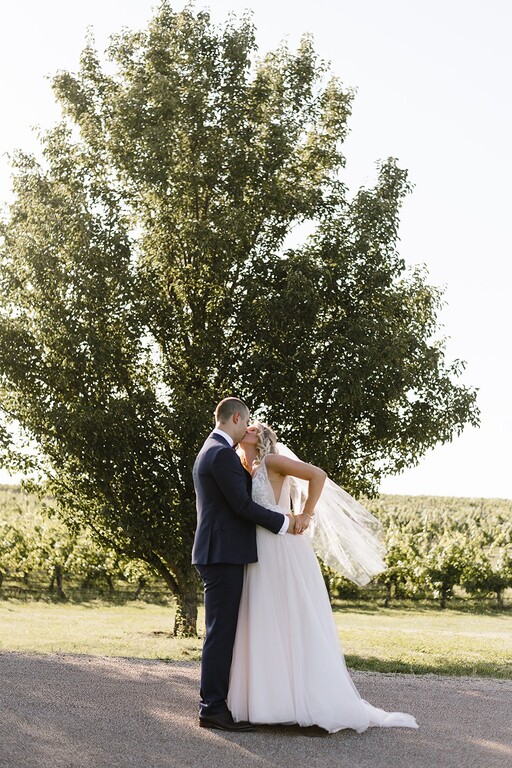 Wild Romantic Photography