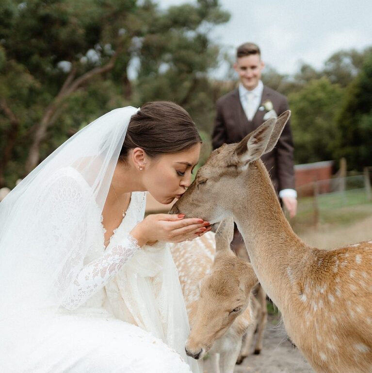 Emotions and Math Photography and Cinema