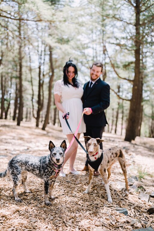 Canberra and Collective - Small Weddings