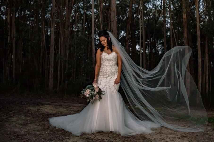 Oz Snaps Photography and Videography