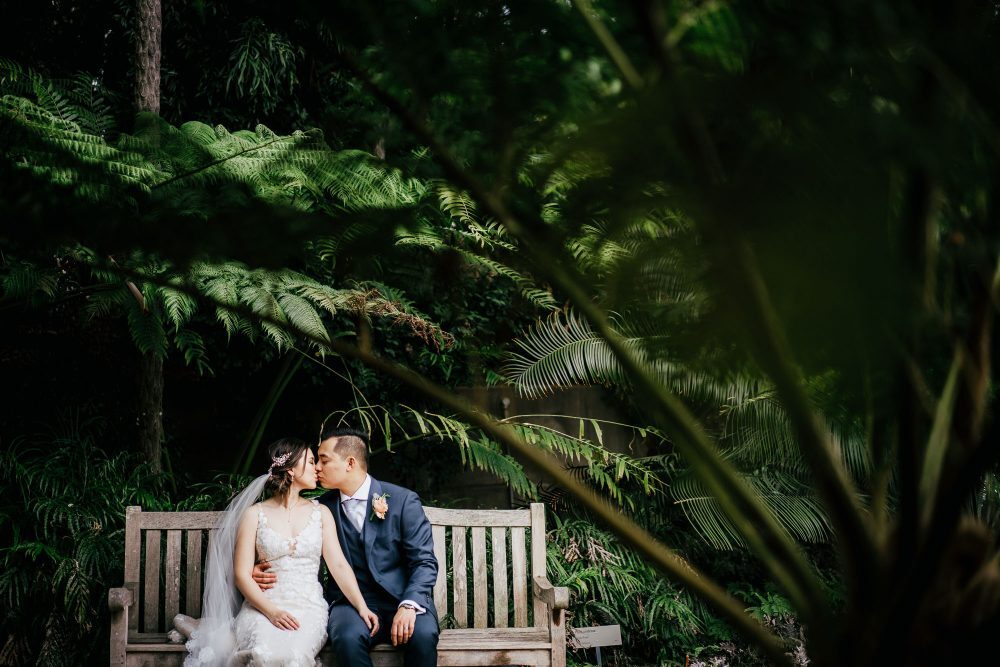 Lightheart Films and Photography