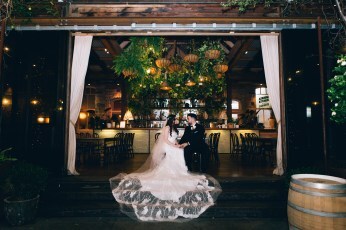 Transtudios Photography and Video