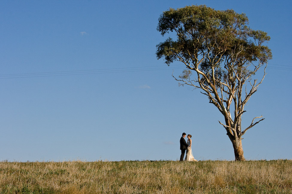 White Phoenix Photography