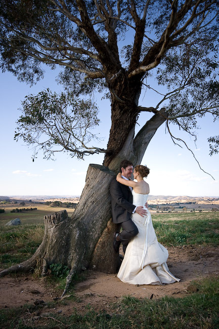 White Phoenix Photography