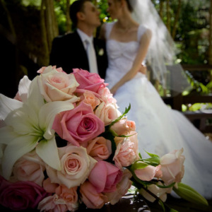 White Phoenix Photography