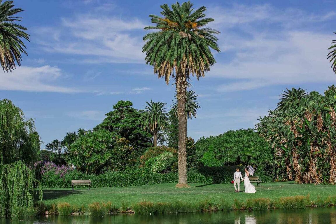 Dan Luke Photography and Films