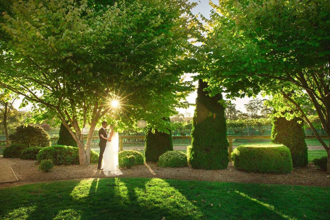 Dan Luke Photography and Films