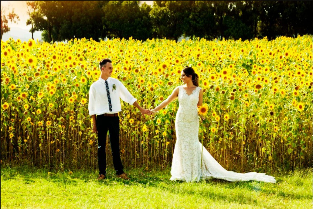 Wet Paint Photography