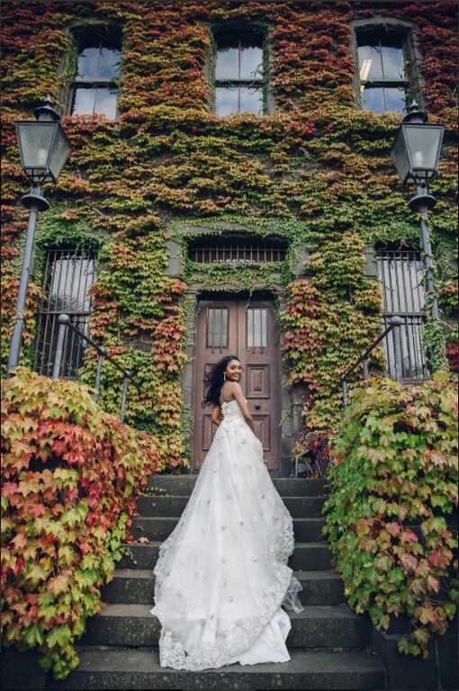 Victor Yang Photography