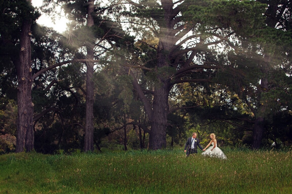 Lens to life Photography