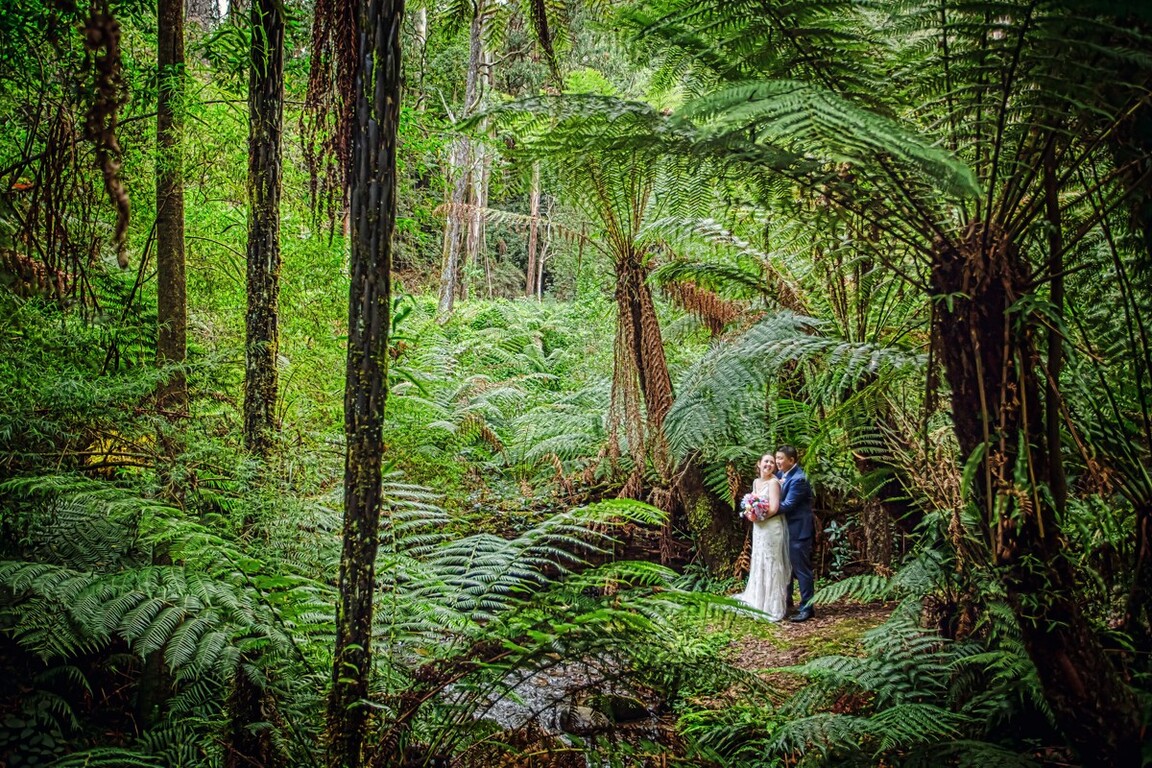 Lens to life Photography