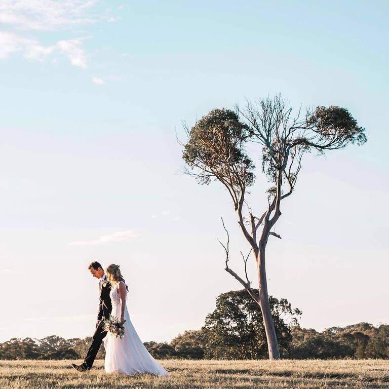 Orchard Grove Studios