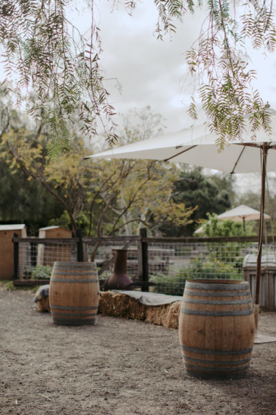 Collingwood Children's Farm