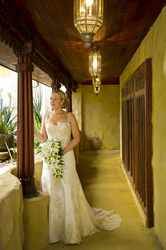 Sue Considine Photographics