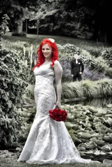 Bruce Hedge Photography