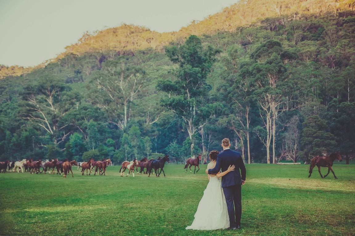 The Natural photography Co.