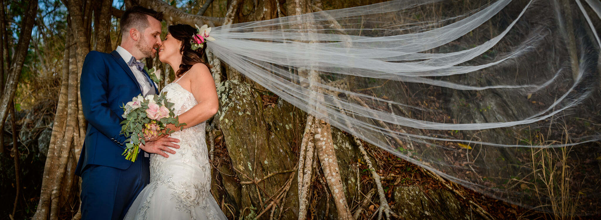 Steve Cooke Photography