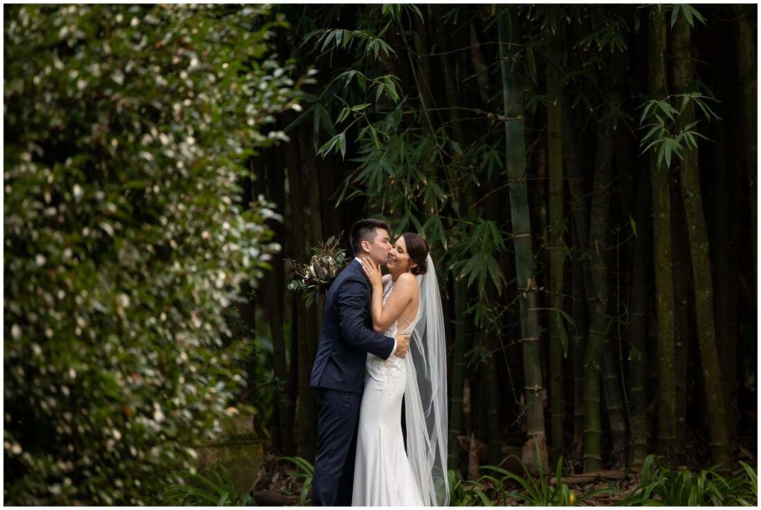 Lisa Lent Photography