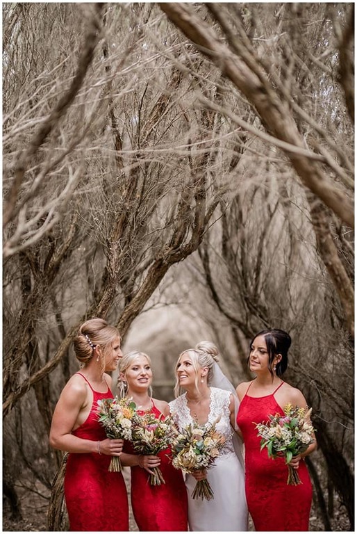 Lisa Lent Photography