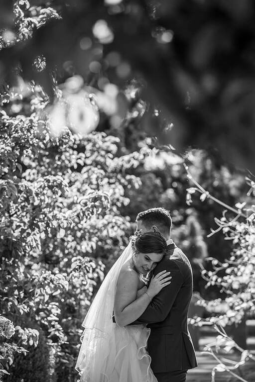 Mojo Professional Photography