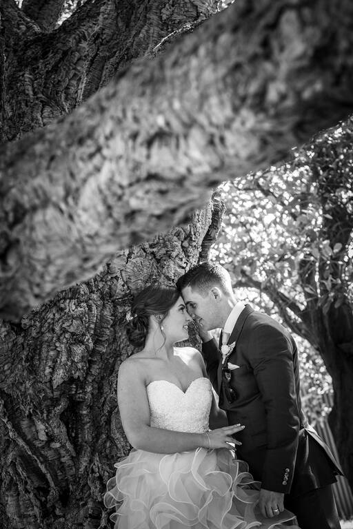Mojo Professional Photography